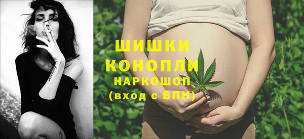 крисы Белоозёрский