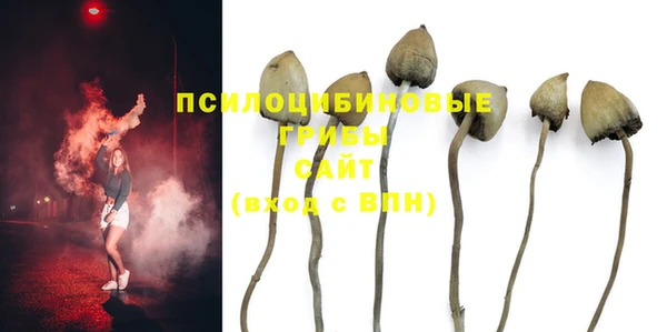 крисы Белоозёрский