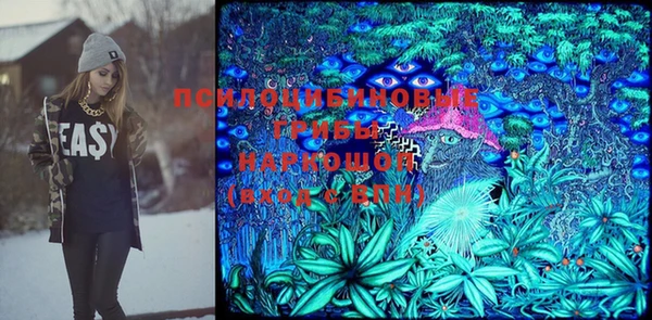 стаф Беломорск