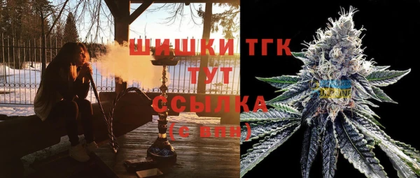 крисы Белоозёрский