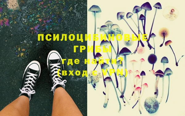 крисы Белоозёрский