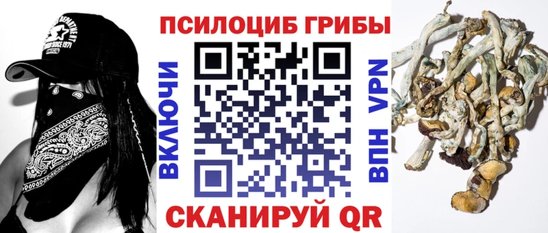 Псилоцибиновые грибы мицелий  мега рабочий сайт  Михайлов  как найти закладки 